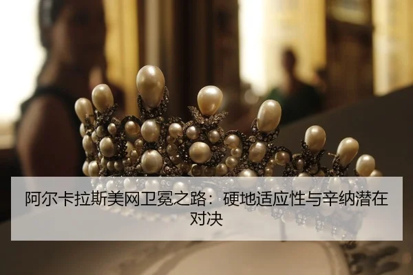a-er-ka-la-si-mei-wang-wei-mian-zhi-lu-ying-di-shi-ying-xing-yu-xin-na-qian-zai-dui-jue-2-197.jpg