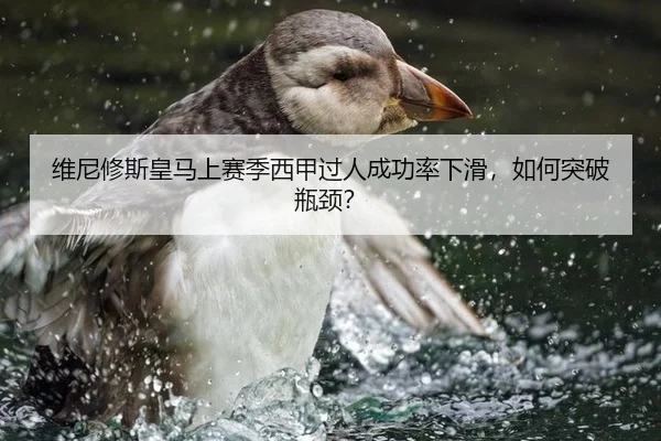 维尼修斯皇马上赛季西甲过人成功率下滑，如何突破瓶颈？
