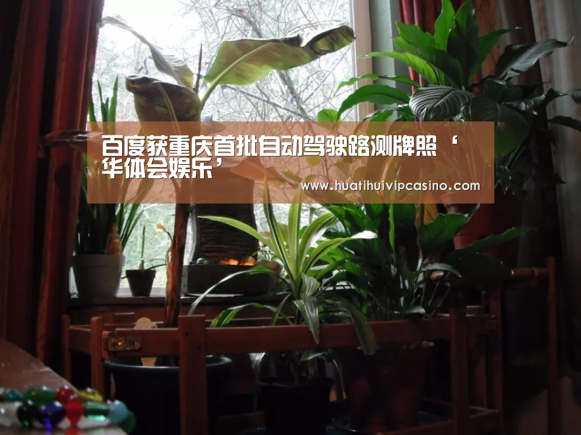 华体会直播